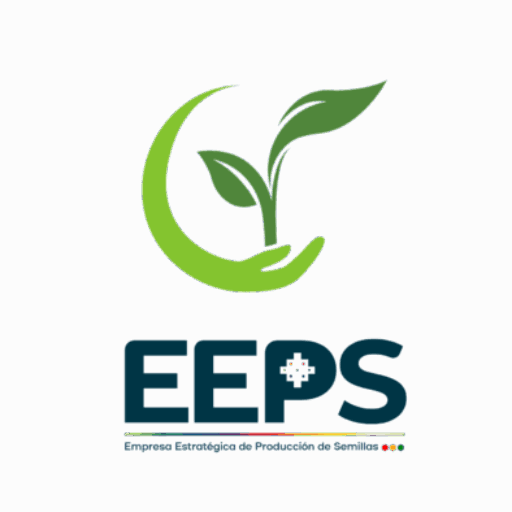 Empresa 4